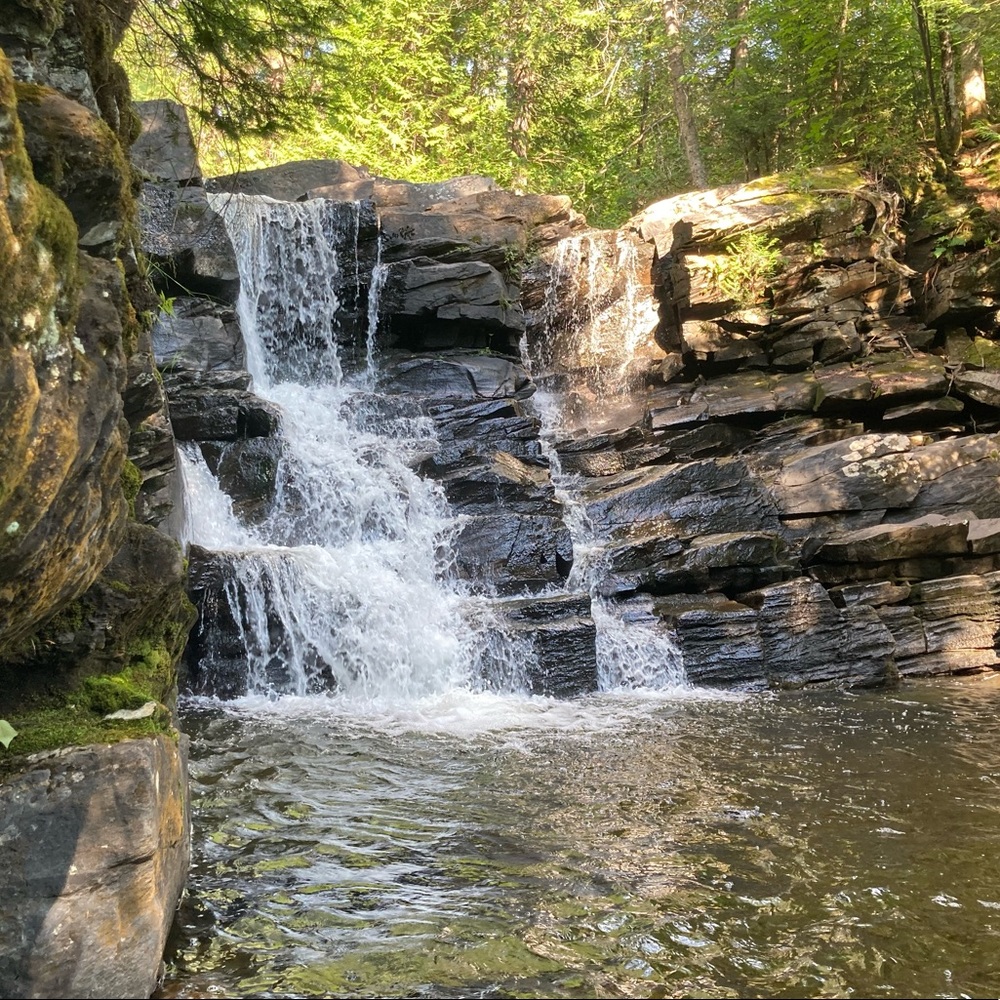 Meet your Posher, Kara